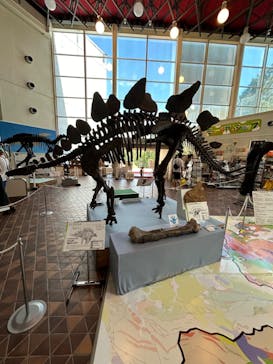 岐阜県博物館に投稿された画像（2024/8/16）