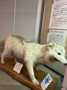 岐阜県博物館に投稿された画像（2024/8/16）