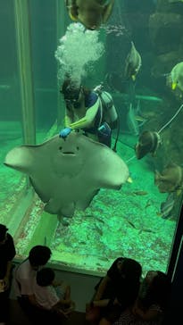 城崎マリンワールドに投稿された画像（2024/8/16）