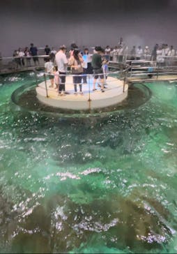 城崎マリンワールドに投稿された画像（2024/8/16）