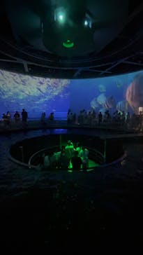 城崎マリンワールドに投稿された画像（2024/8/16）