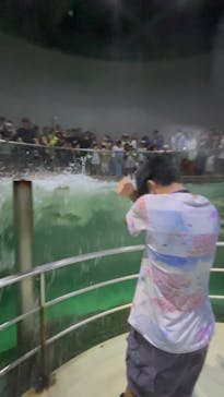 城崎マリンワールドに投稿された画像（2024/8/16）