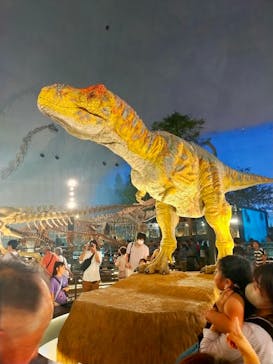 福井県立恐竜博物館に投稿された画像（2024/8/16）