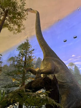 福井県立恐竜博物館に投稿された画像（2024/8/16）