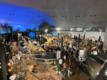 福井県立恐竜博物館に投稿された画像（2024/8/16）