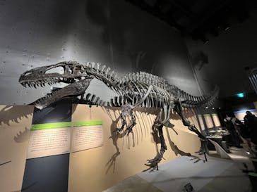 福井県立恐竜博物館に投稿された画像（2024/8/16）