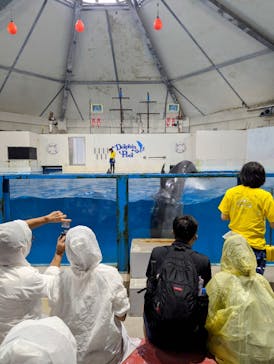 登別マリンパークニクスに投稿された画像（2024/8/16）