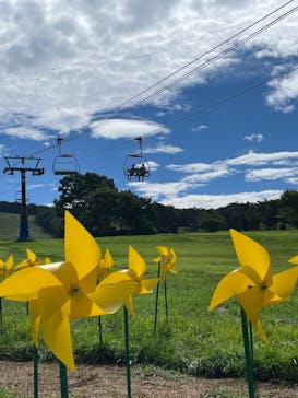 ひるがのピクニックガーデンに投稿された画像（2024/8/16）