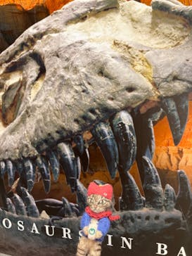 福井県立恐竜博物館に投稿された画像（2024/8/16）