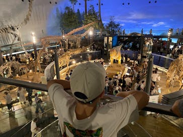 福井県立恐竜博物館に投稿された画像（2024/8/16）
