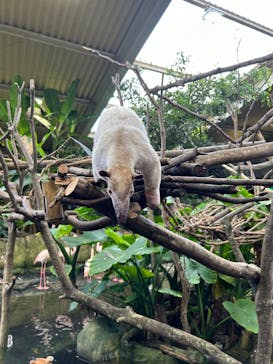 那須どうぶつ王国に投稿された画像（2024/8/16）