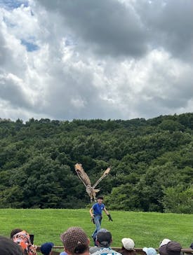 那須どうぶつ王国に投稿された画像（2024/8/16）