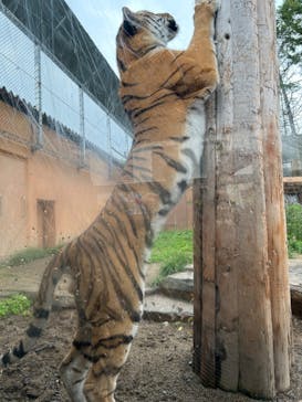 那須どうぶつ王国に投稿された画像（2024/8/16）