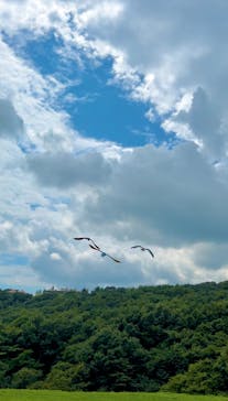 那須どうぶつ王国に投稿された画像（2024/8/16）