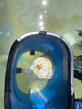 志摩自然学校に投稿された画像（2024/8/16）