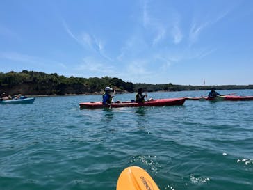 志摩自然学校に投稿された画像（2024/8/16）