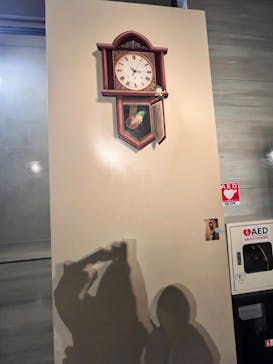 とりっくあーとぴあ日光に投稿された画像（2024/8/16）