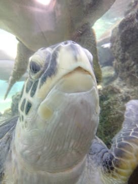 横浜・八景島シーパラダイスに投稿された画像（2024/8/16）