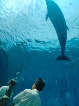 横浜・八景島シーパラダイスに投稿された画像（2024/8/16）