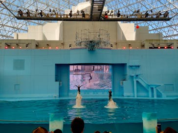 横浜・八景島シーパラダイスに投稿された画像（2024/8/16）