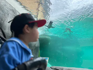 天王寺動物園に投稿された画像（2024/8/16）