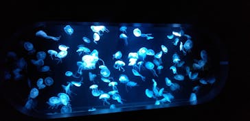 AOAO SAPPOROに投稿された画像（2024/8/16）