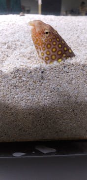 AOAO SAPPOROに投稿された画像（2024/8/16）