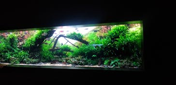 AOAO SAPPOROに投稿された画像（2024/8/16）