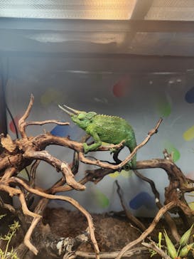 NARA IKIMONO MUSEUMに投稿された画像（2024/8/16）