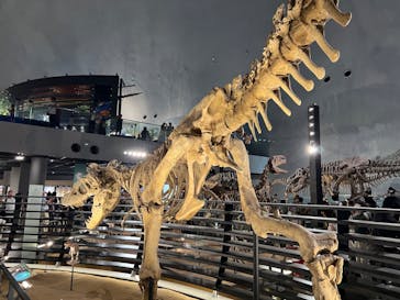 福井県立恐竜博物館に投稿された画像（2024/8/16）