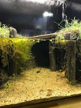 滋賀県立琵琶湖博物館に投稿された画像（2024/8/16）