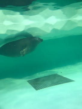 滋賀県立琵琶湖博物館に投稿された画像（2024/8/16）