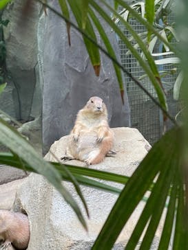 神戸どうぶつ王国に投稿された画像（2024/8/16）