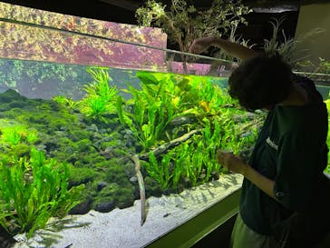 カワスイ 川崎⽔族館に投稿された画像（2024/8/16）