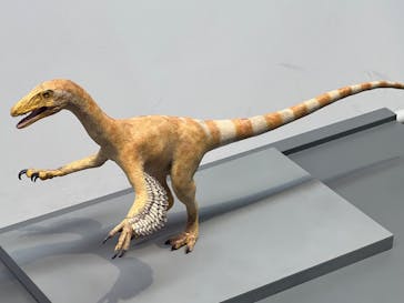 福井県立恐竜博物館に投稿された画像（2024/8/16）