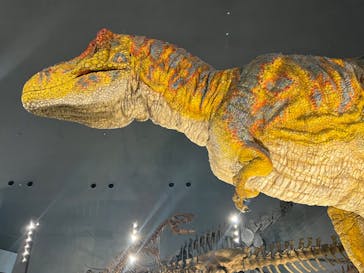福井県立恐竜博物館に投稿された画像（2024/8/16）