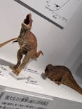 DinoScience 恐竜科学博 ～ララミディア大陸の恐竜物語～ 2024@OSAKAに投稿された画像（2024/8/16）