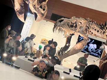 DinoScience 恐竜科学博 ～ララミディア大陸の恐竜物語～ 2024@OSAKAに投稿された画像（2024/8/16）