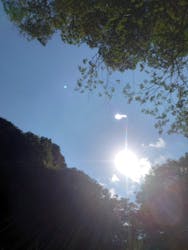 まる宮キャニオニングに投稿された画像（2024/8/16）