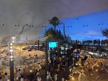 福井県立恐竜博物館に投稿された画像（2024/8/16）