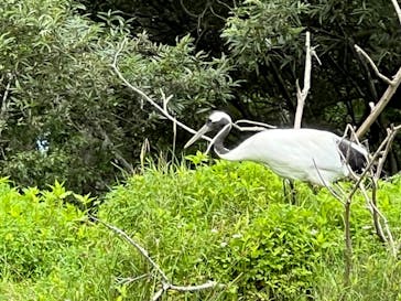 レイクサイドとうろに投稿された画像（2024/8/16）