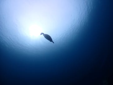 海遊び ネジに投稿された画像（2024/8/16）