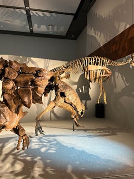 DinoScience 恐竜科学博 ～ララミディア大陸の恐竜物語～ 2024@OSAKAに投稿された画像（2024/8/16）