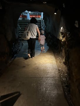 地底王国「美川ムーバレー」に投稿された画像（2024/8/16）