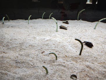 AOAO SAPPOROに投稿された画像（2024/8/16）