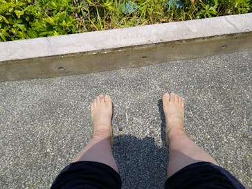 城崎マリンワールドに投稿された画像（2024/8/16）