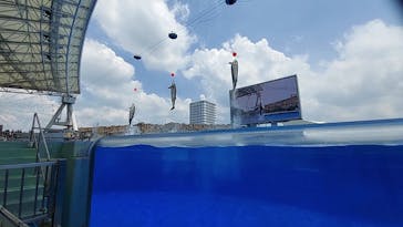 名古屋港水族館に投稿された画像（2024/8/16）