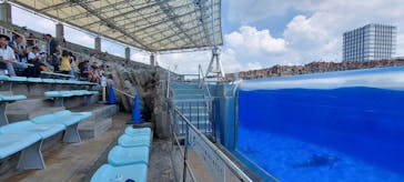 名古屋港水族館に投稿された画像（2024/8/16）