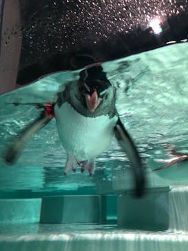 AOAO SAPPOROに投稿された画像（2024/8/16）