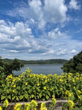 博物館 明治村に投稿された画像（2024/8/16）